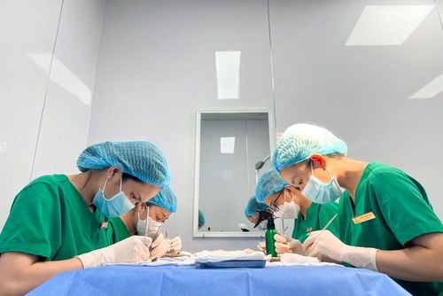 Cấy tóc DHI (FUE) – Cấy tóc trực tiếp